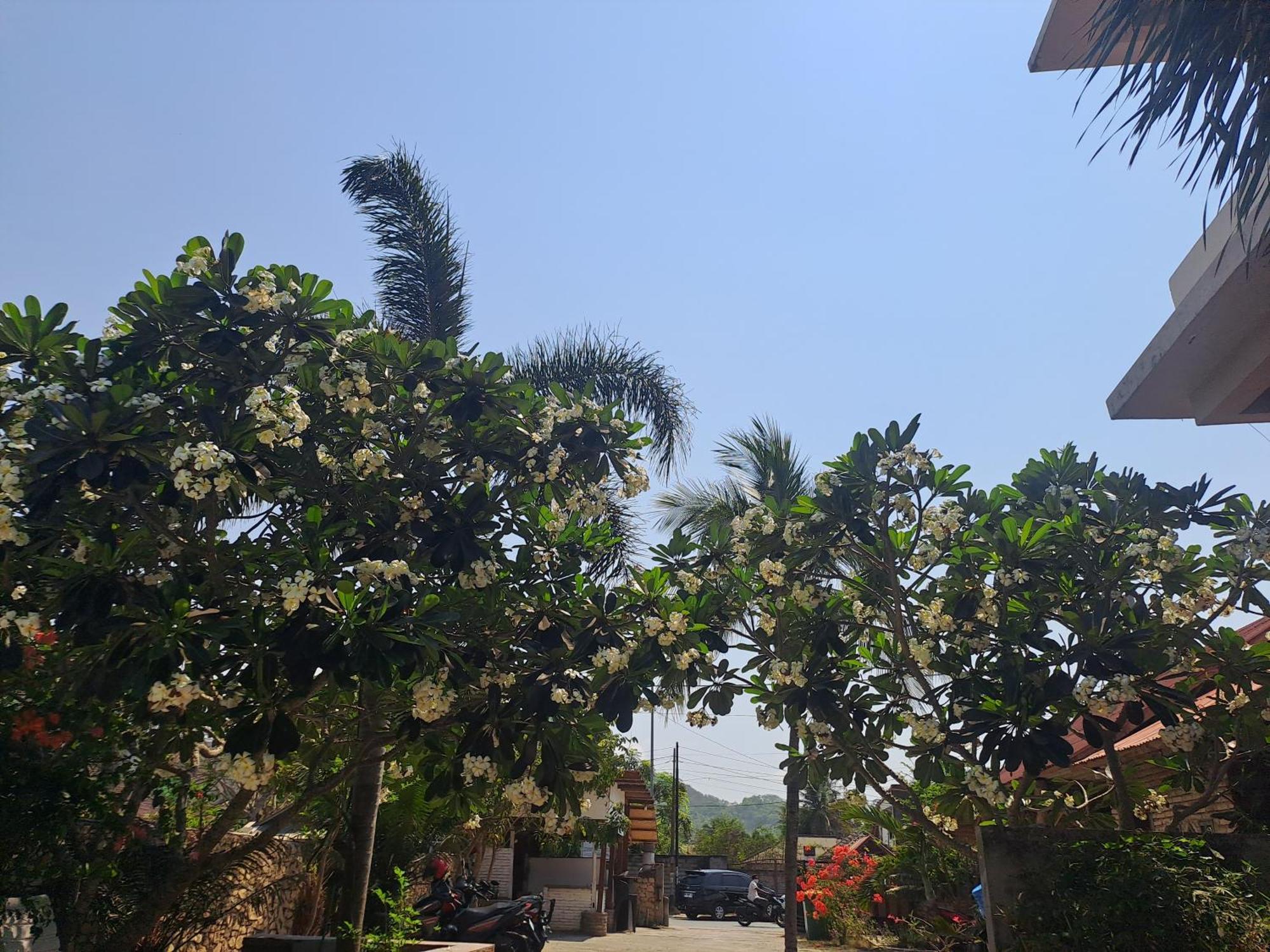 Kutabay Homestay Kuta  Kültér fotó
